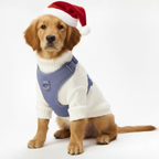 Beau & Barker™ Houdini Harness