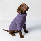 Beau & Barker™ Wool Calming Sweater