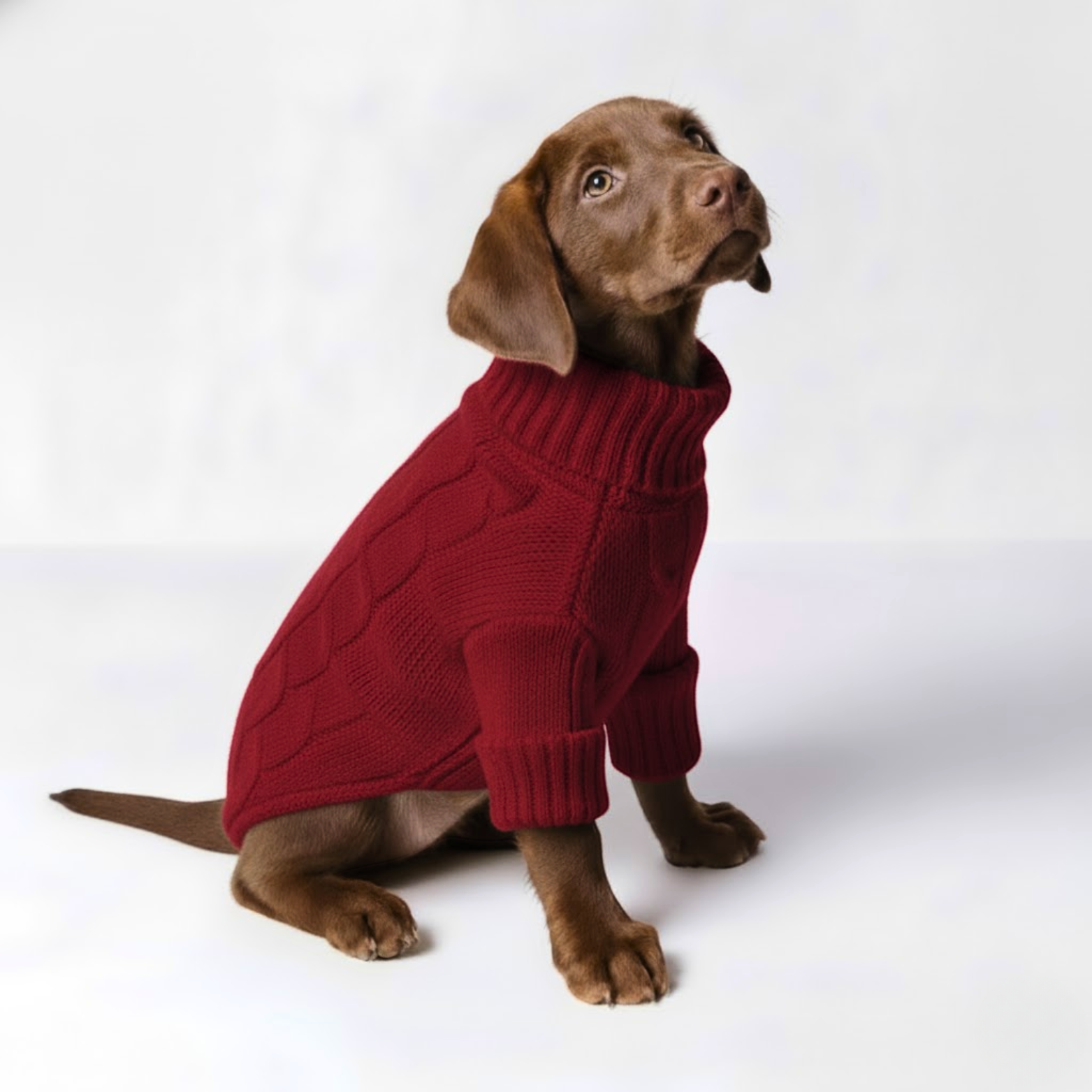 Beau & Barker™ Wool Calming Sweater