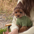 Beau & Barker™ Wool Calming Sweater