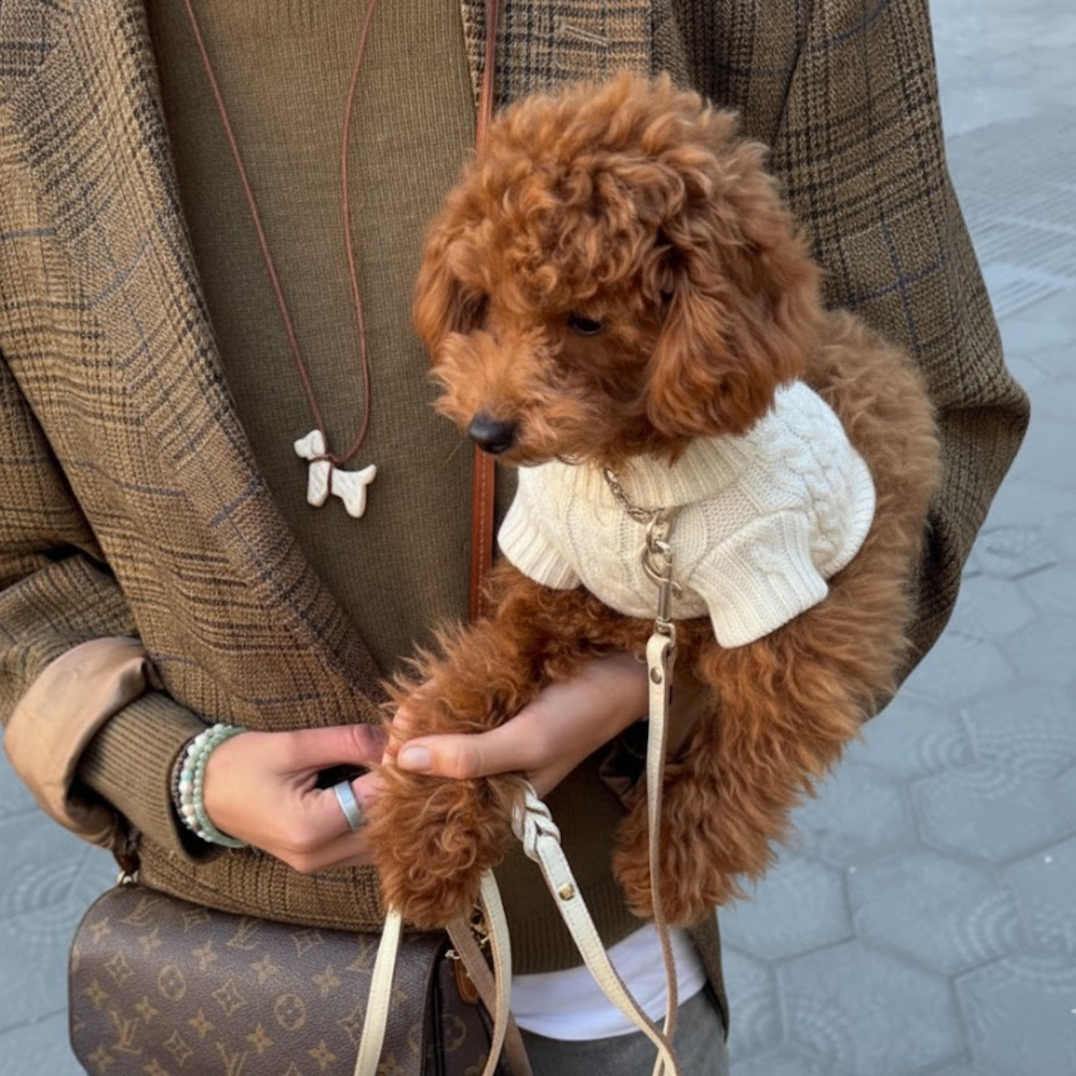 Beau & Barker™ Wool Calming Sweater