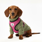 Beau & Barker™ Front Loaded Harness